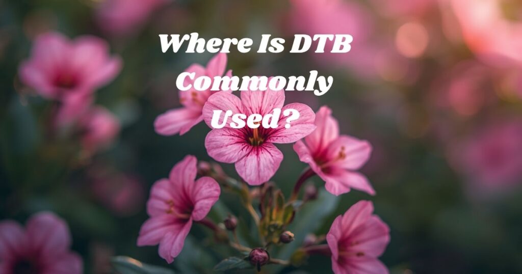 Where Is DTB Commonly Used?